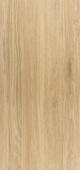 Wood Коричневые Светлые, 60х120 Мат