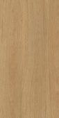 Albero Beige 60х120х9 Мат