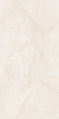 Endless Charisma Ivory 60*120 Glossy
