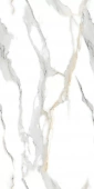 Staturio Oro 60*120 Glossy