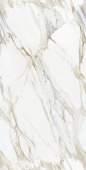 Calacatta Oro 60*120 Glossy