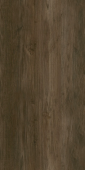 Albero Brown** 60х120х9 Мат