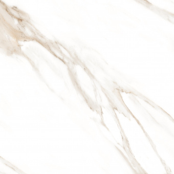 Statuario Brown 60*60 Glossy