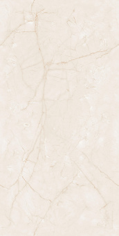 Endless Charisma Ivory 60*120 Glossy