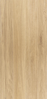 Wood Коричневые Светлые, 60х120 Мат