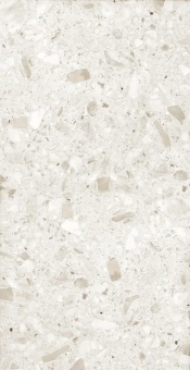 Terrazzo Beige 60х120х9 Мат.кар