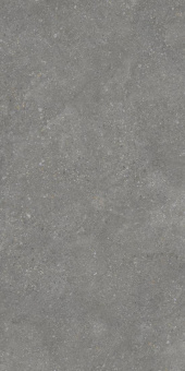 Pietra Grey 60х120х9 Мат