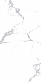 Megnus Statuario 60*120 Glossy