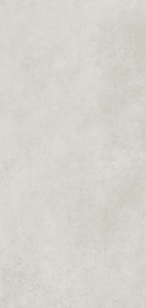 Plaster Grey, 60х120 Мат