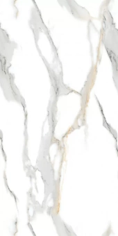 Staturio Oro 60*120 Glossy