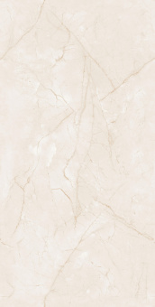 Endless Charisma Ivory 60*120 Glossy
