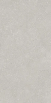 Pietra Light Grey* 60х60х9 Мат