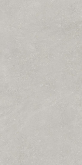 Pietra Light Grey 60х120х9 Мат