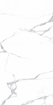 Megnus Statuario 60*120 Glossy
