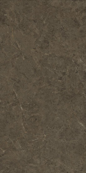 Neapol Brown 60х120х9 Мат