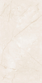 Endless Charisma Ivory 60*120 Glossy