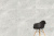 Marmostone Светло-серый 60х120 Лаппато R9 Ректификат Marmostone Светло-серый 60х120 Лаппато R9 Ректификат