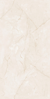 Endless Charisma Ivory 60*120 Glossy