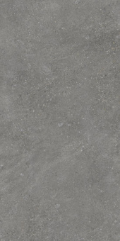 Pietra Grey 60х120х9 Мат