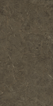Neapol Brown 60х120х9 Мат