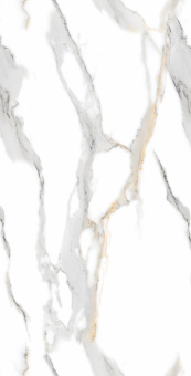 Staturio Oro 60*120 Glossy