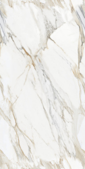 Calacatta Oro 60*120 Glossy