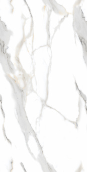 Staturio Oro 60*120 Glossy
