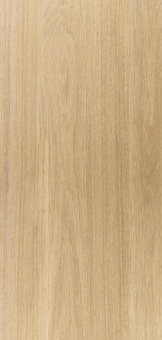 Wood Коричневые Светлые, 60х120 Мат