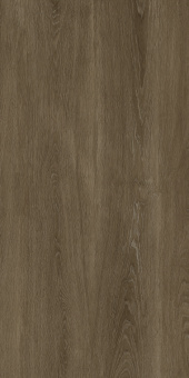 Albero Grey 60х120х9 Мат