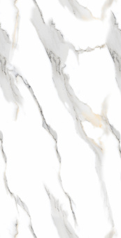 Staturio Oro 60*120 Glossy