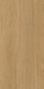 Albero Beige 60х120х9 Мат