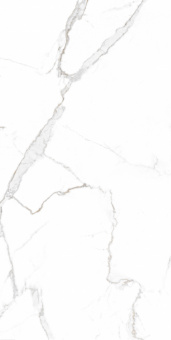 Satori Statuario 60*120 Glossy