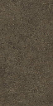 Neapol Brown 60х120х9 Мат