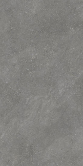 Pietra Grey 60х120х9 Мат