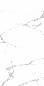 Megnus Statuario 60*120 Glossy