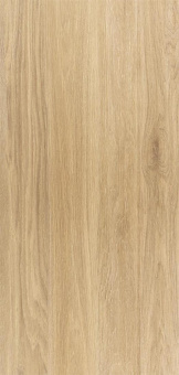 Wood Коричневые Светлые, 60х120 Мат