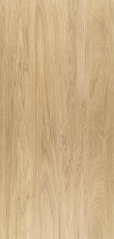 Wood Коричневые Светлые, 60х120 Мат