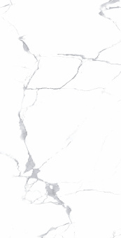 Megnus Statuario 60*120 Glossy