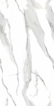Staturio Oro 60*120 Glossy