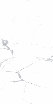 Megnus Statuario 60*120 Glossy